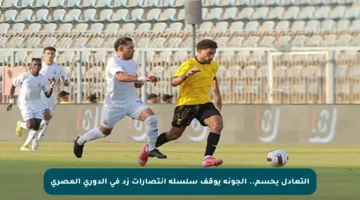 التعادل يحسم.. الجونة يوقف سلسلة انتصارات زد في الدوري المصري